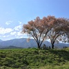 安曇野「常念道祖神」と桜の絶景。