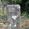 取違（とりちがい）、薩摩知覧の豊玉姫と玉依姫の伝説