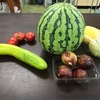 旬のＥＭ野菜が豊富でうれしい。楽しみ。いただき物に感謝。