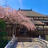 【 ご挨拶 】初めまして。桜之宮しあんです。
