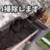 雨樋の掃除します。