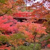やりとりしている家族から😊