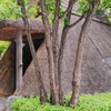 ＜2017群馬＞月夜野矢瀬親水公園～みなかみ水紀行館～たくみの里