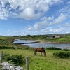 アイルランドは西側が面白い！Sky Road絶景ドライブ旅