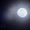 久しぶりの月撮影