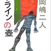 【感想】岡嶋二人『クラインの壺』  -岡嶋二人の最終作である名作ミステリー-