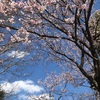 練習ログ 3/23-30