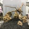 カッとなってレイアウト。