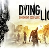 Dying Light 途方もない魅力、その一部