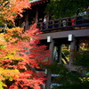京都の東福寺の写真撮影を禁止しないで混乱を避ける方法(案)