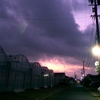 浜ちゃんの散歩道(６３１)　夏日がぶり返したようであった。朝夕は雲が広がっていた。　