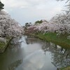 弘前観光  夜桜と弘前城