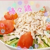 棒々鶏と麻婆茄子