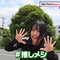 令和の推し研究バラエティ ＃推しカツ！