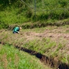 田舎暮らしの想像と実際