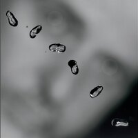 Peter Gabriel『Up』(2002)｜静寂と深淵が交差する内省の傑作