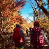 紅葉ハイキング 景信山〜高尾山