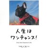 人生はワンチャンス／水野敬也，長沼直樹　～名言にすがりたくなるときが最近多いなぁ。。。～