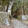 百名城　岩村城 (38・岐阜県恵那市)1/2 -残雪の三大山城　山麓から菱櫓へ