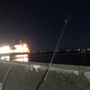 朝マヅメの根魚狙い☆彡横浜
