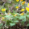 ３連休の真ん中　出勤日です