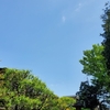 先週のお散歩&#65374;&#128694;