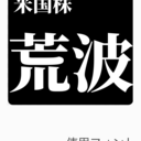 荒波〜私は死なないわ。米国株は最強だもの。