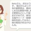 夏野菜三昧