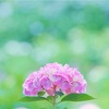 人とうまくやれない自分が嫌いなあなたへ