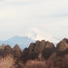 今朝の景色