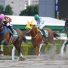 競馬初心者必見☆馬券予想🔥〜エルムS〜ルメール騎手の勢いは止まらない！？〜