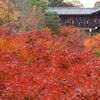 嵐山・東山1dayチケットで朝から晩まで、京都の秋を満喫！東福寺から二尊院へ