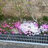 阪神、屈辱の１試合２満塁ホームラン被弾