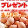 2018年11月24日（土）：本日総付景品プレゼントのご案内！！