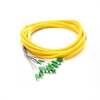 Know About the 12 Fiber Pigtail and12 Fiber Cable
