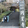 神社・寺院の御朱印　（円覚寺　明月院　建長寺　鶴岡八幡宮　等）