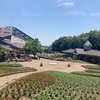 とちぎ花センターで花と緑の癒しのひとときを～ヒスイカズラ