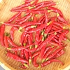 留守にするので、冷蔵庫の整理
