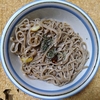 ペペロン蕎麦