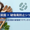 家庭菜園の破傷風ワクチンガイド｜10年ルールと接種判断