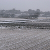 残雪…さむッ…♪