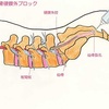 ■10/1(火)　②そう言えば伊能忠敬は、55歳で測量の旅に出たんだった。