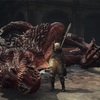 【ドラゴンズドグマ2】はじめてのドラゴン討伐戦