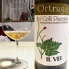 Ortrugo Colli Piacentini D.O.C 2016(IL VEI)