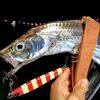 タチウオの釣り方｜岸から狙う時期・時間帯・ルアー・仕掛けを解説