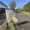 Photo No.2241 / やらかした