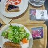 GAME SYMPHONY JAPAN PREMIUM CONCERT ～ワイルドアームズとアークザラッド～１