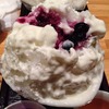 ひみつ堂｜千駄木｜ふわっふわブルーベリーヨーグルトかき氷の衝撃