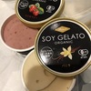 ご当地アイス:soy gelato organic