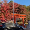 半月間のワクワク、ドキドキ
